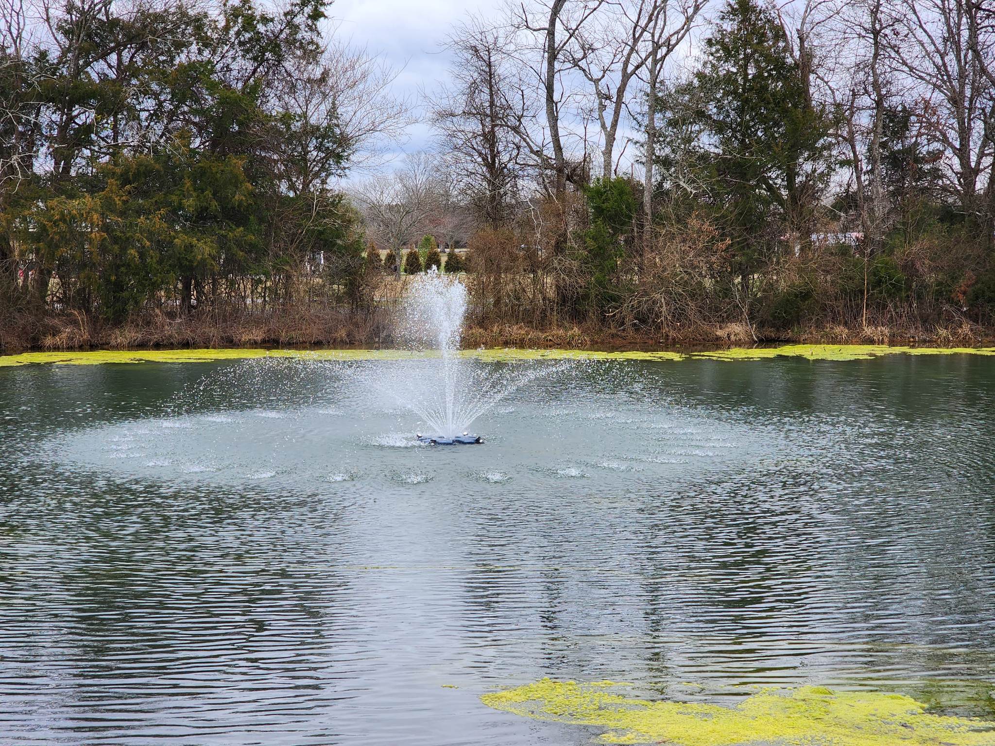 pond fountain