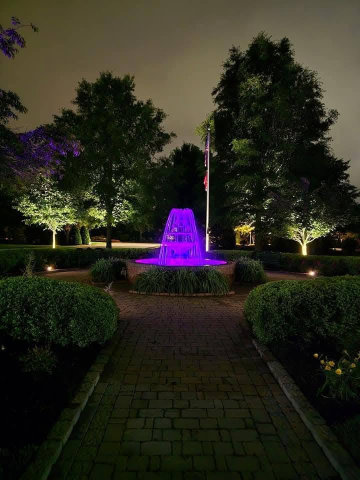 pond fountain with purple light